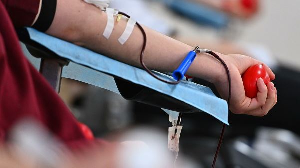 Донорство позволяет избавиться от «вечных химикатов» в крови