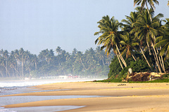 Россиянка объехала всю Шри-Ланку и назвала лучшие пляжи страны