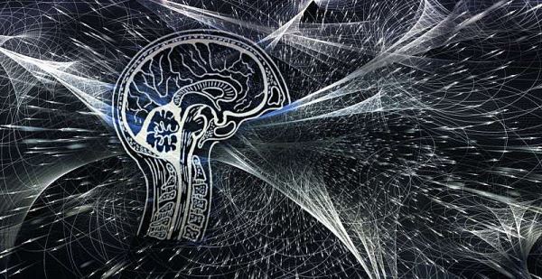 Ученые выявили новый способ, с помощью которого мозг анализирует информацию
