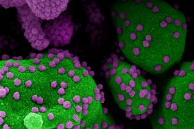 Великобритания не исключила появление нового штамма вируса при вспышке неизвестного гепатита